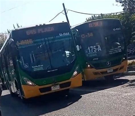ruta 645 conchitas|ruta 645.